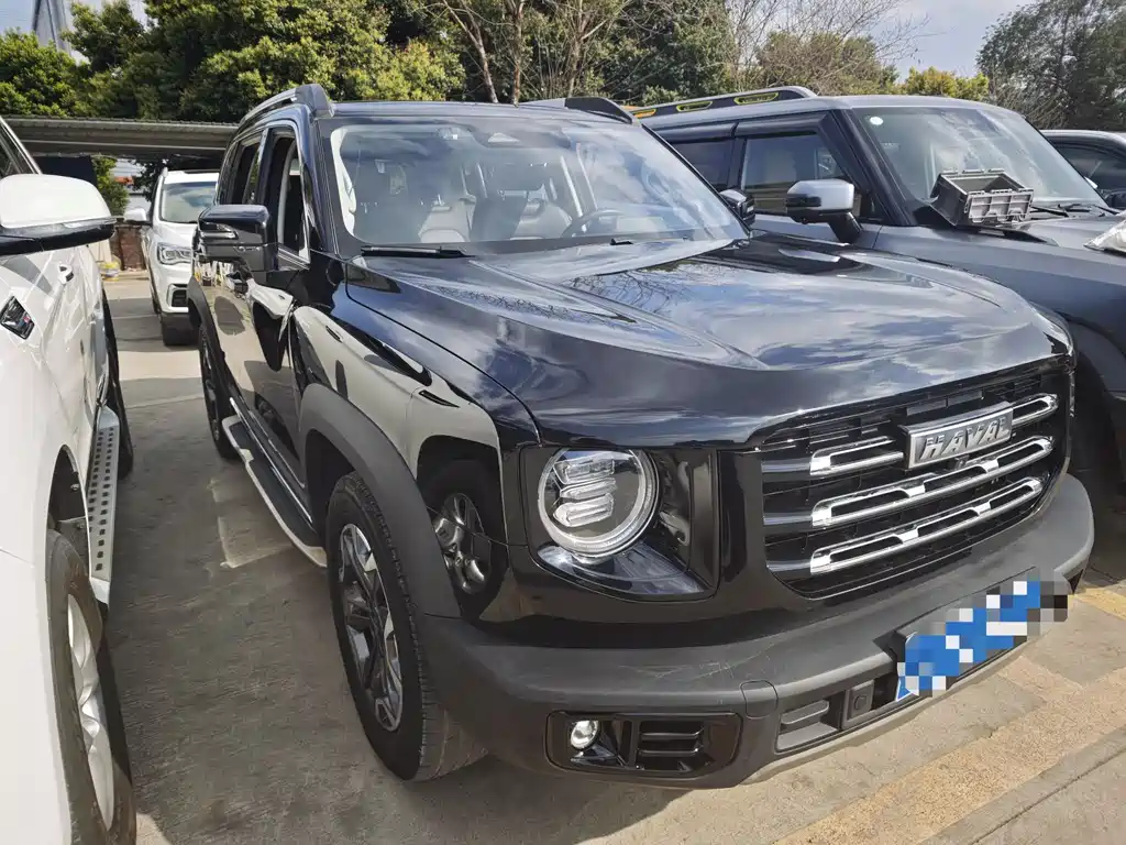 HAVAL BIG DOG