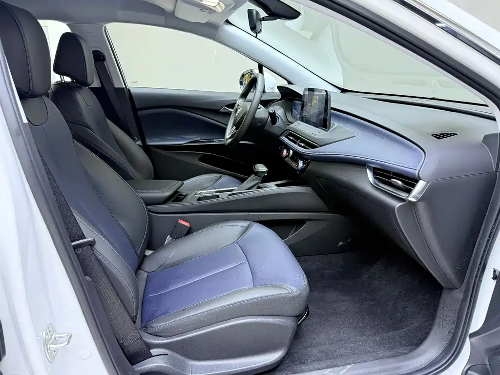 BUICK SLIGHTLY BLUE 6