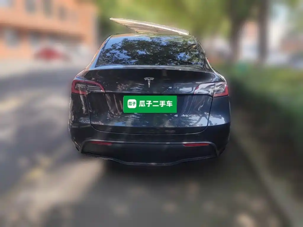 Tesla Model Y — миниатюра 3