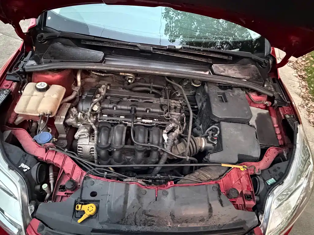 Ford Focus — миниатюра 15