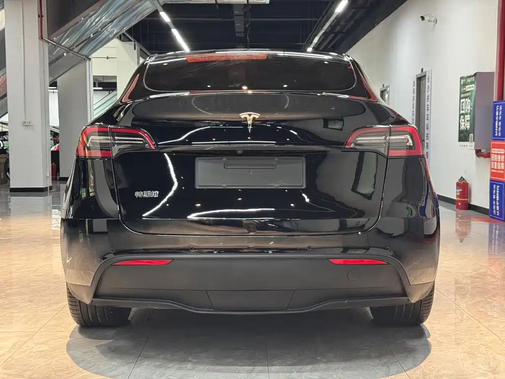 Tesla Model Y — миниатюра 4