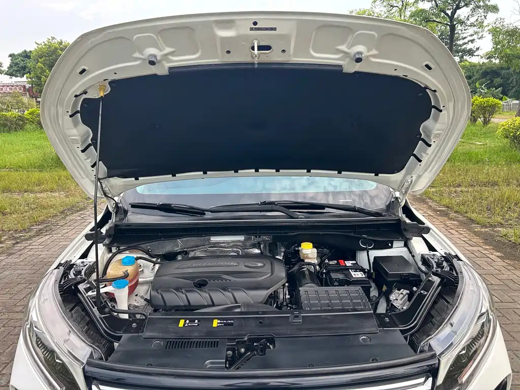 GAC Motor Trumpchi GS4 — миниатюра 24