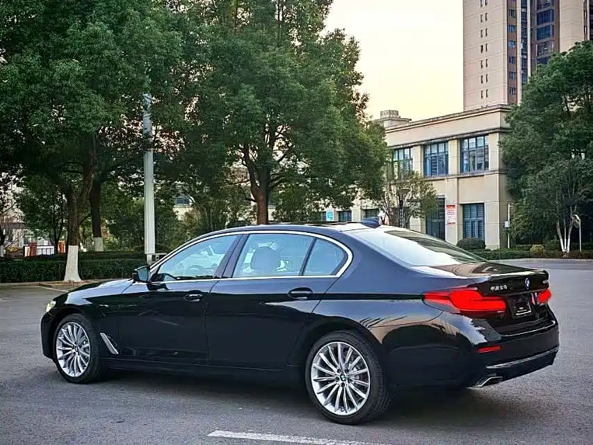 BMW 5 Series 5 2021 530Li Premium Luxury