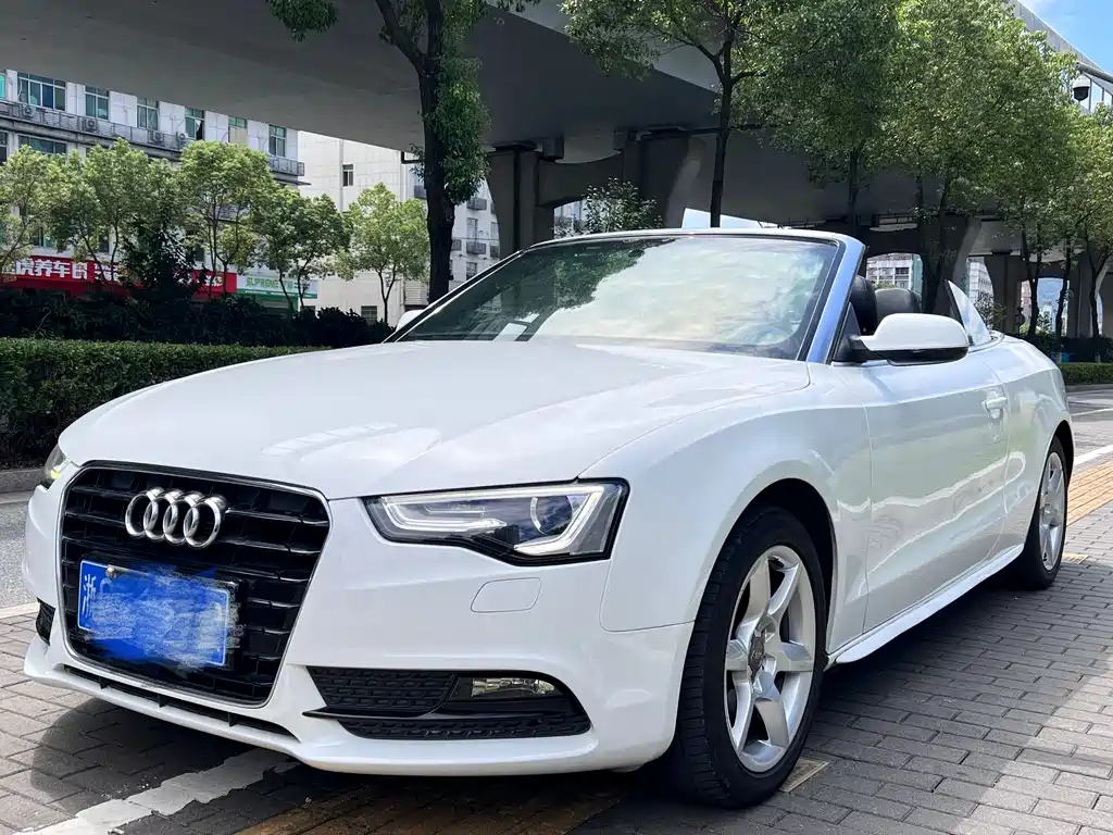 Audi A5 (Import) 2013