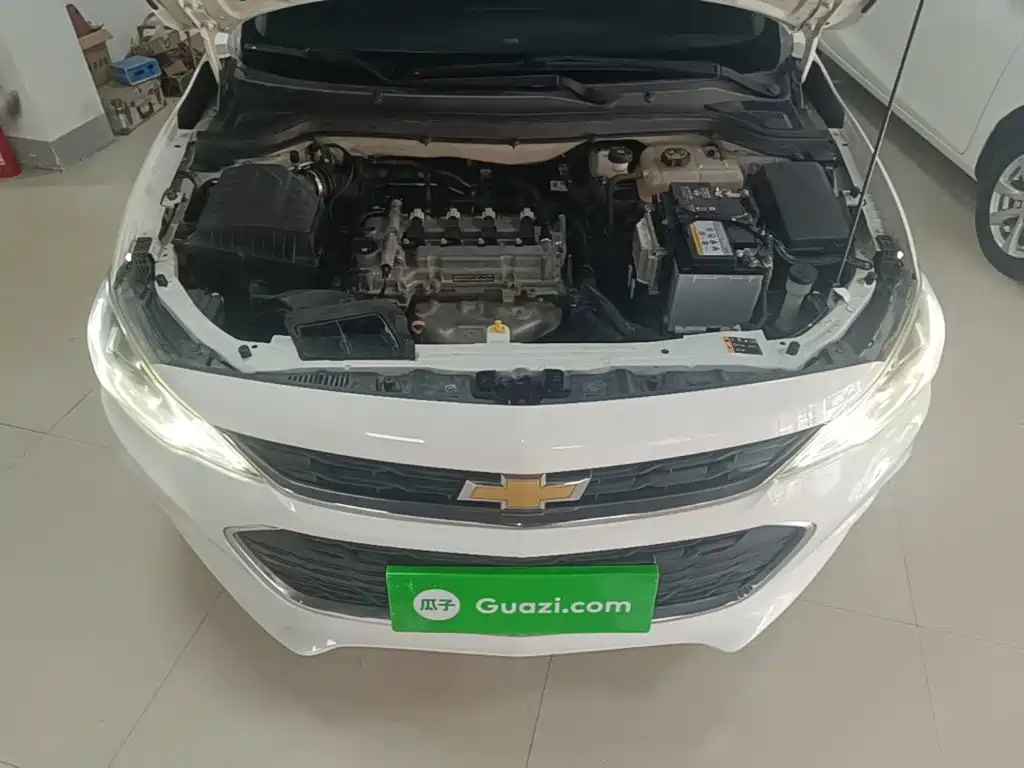 Chevrolet Cavalier — миниатюра 20