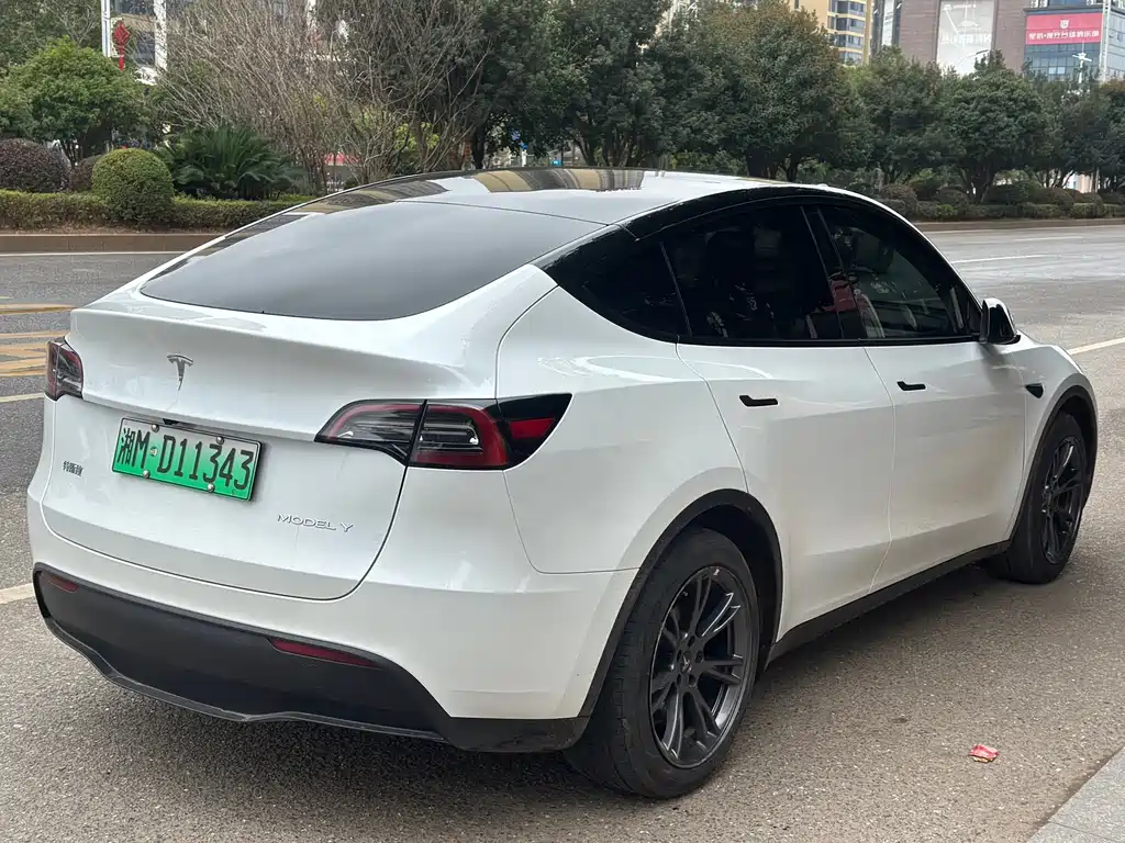 TESLA MODEL Y