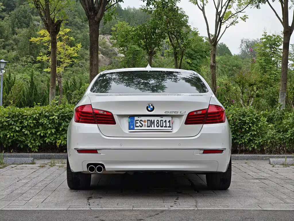 BMW 5 Series — миниатюра 11