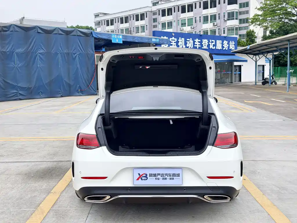 Mercedes-Benz CLS 2022 CLS 300