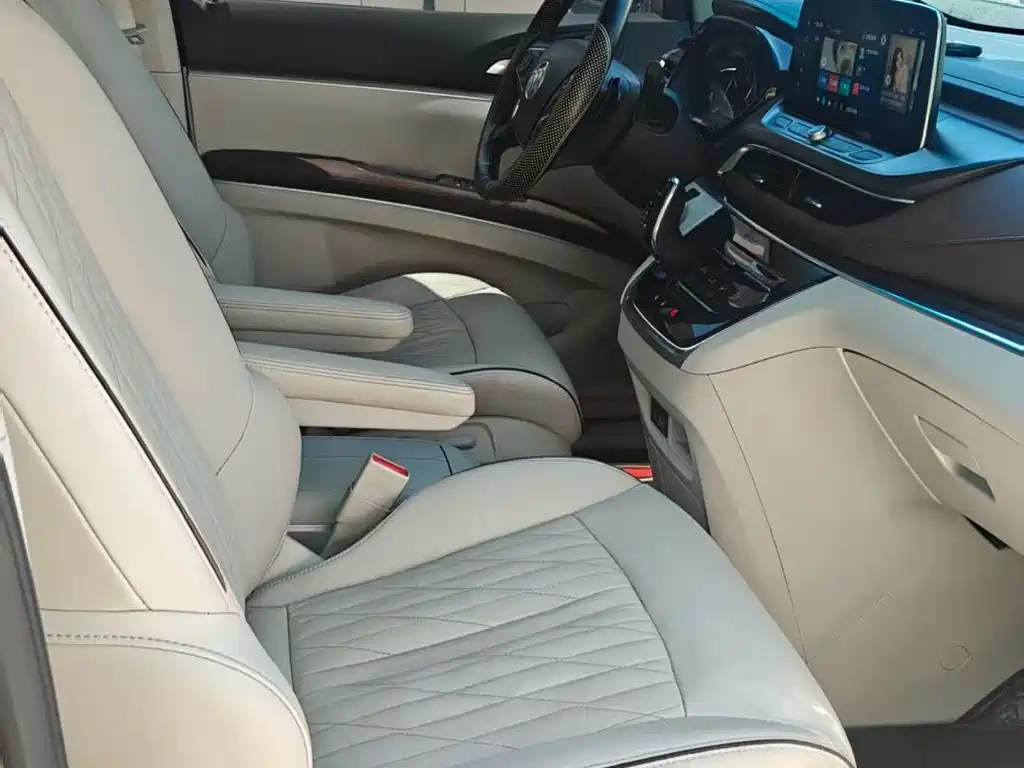 Buick GL8 — миниатюра 6