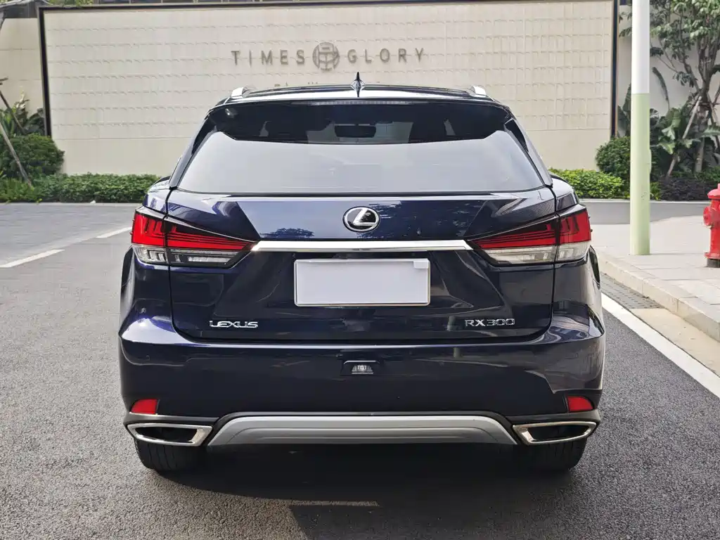 Lexus RX 2020 300 Elite