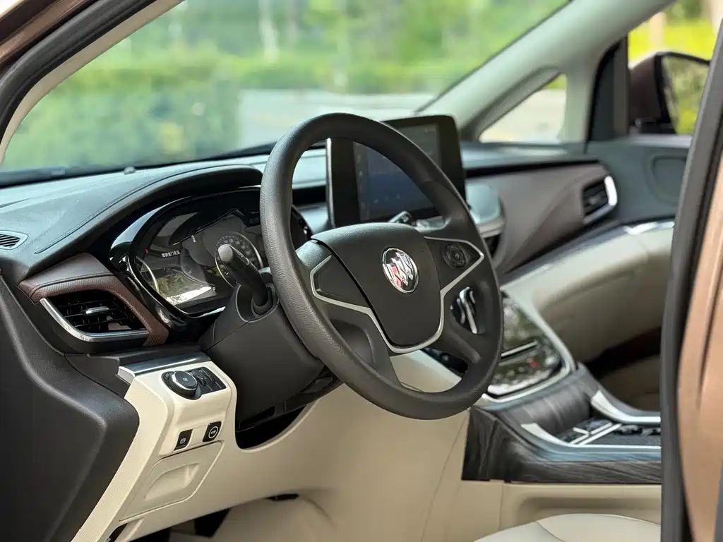 Buick GL8 — миниатюра 8