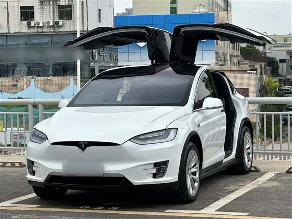 Tesla Model X 2020
