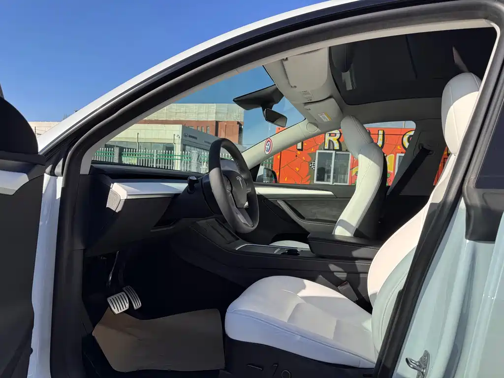 Tesla Model Y — миниатюра 4