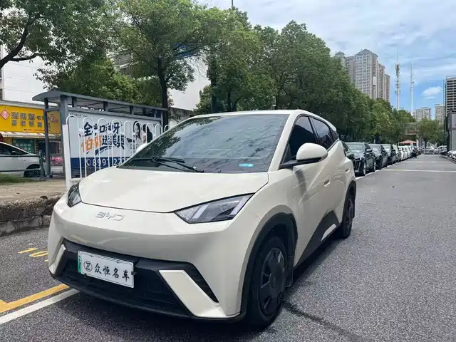2024 BYD Seagull