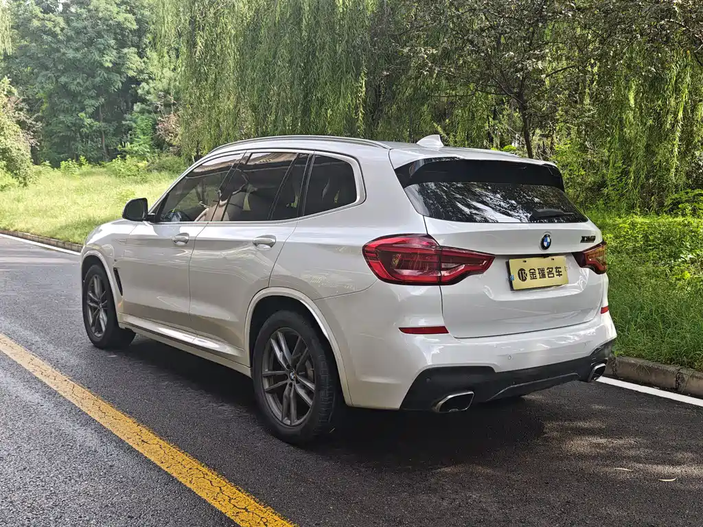BMW X3 — миниатюра 10