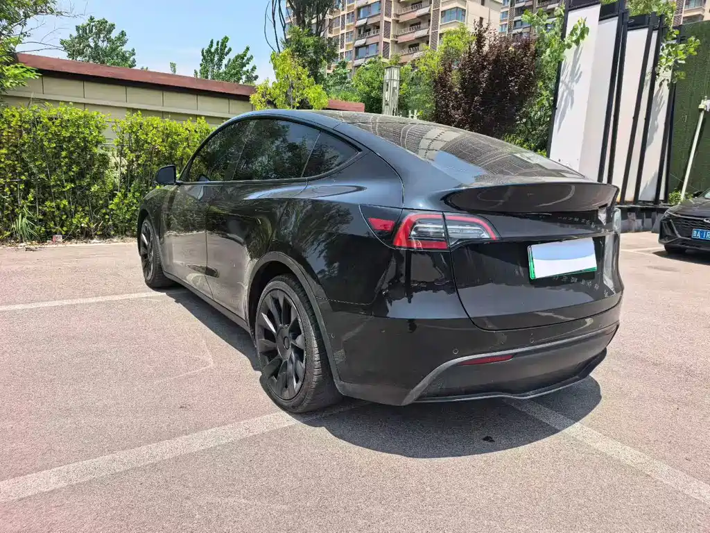 Tesla Model Y — миниатюра 5