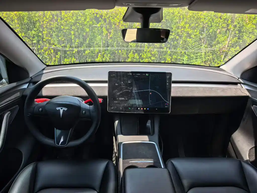 Tesla Model Y — миниатюра 8