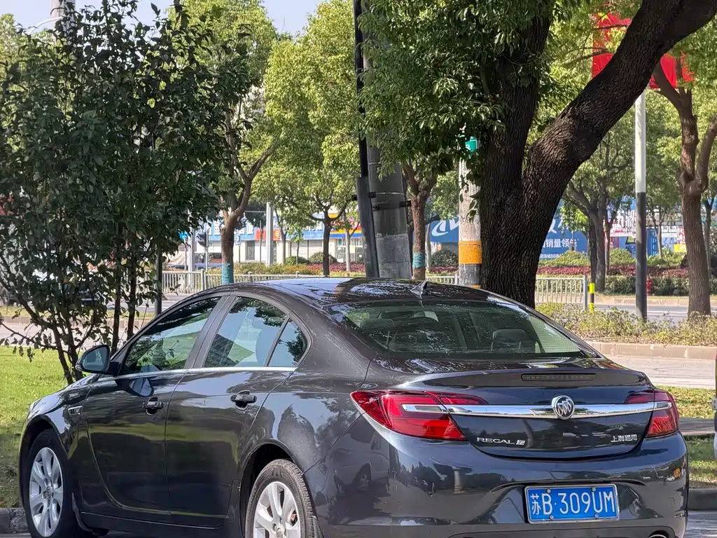 Buick Regal — миниатюра 12