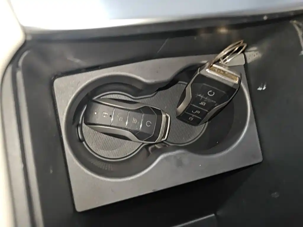 BYD PLUS New Energy — миниатюра 9
