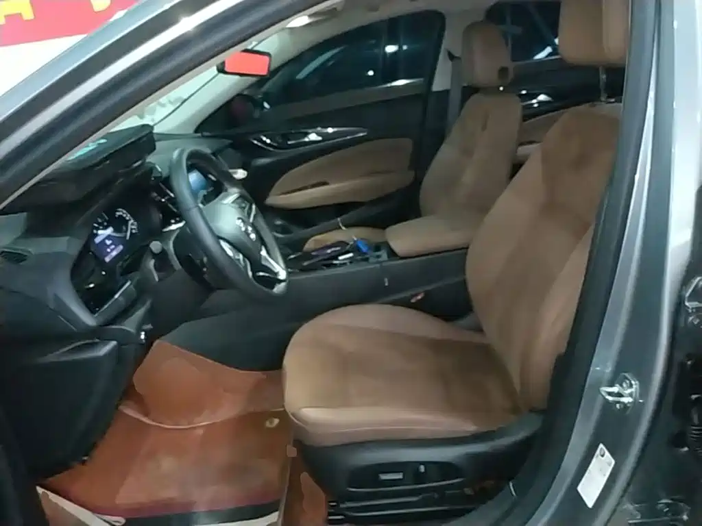 Buick Regal — миниатюра 15
