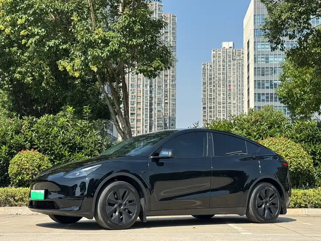Tesla Model Y — миниатюра 13