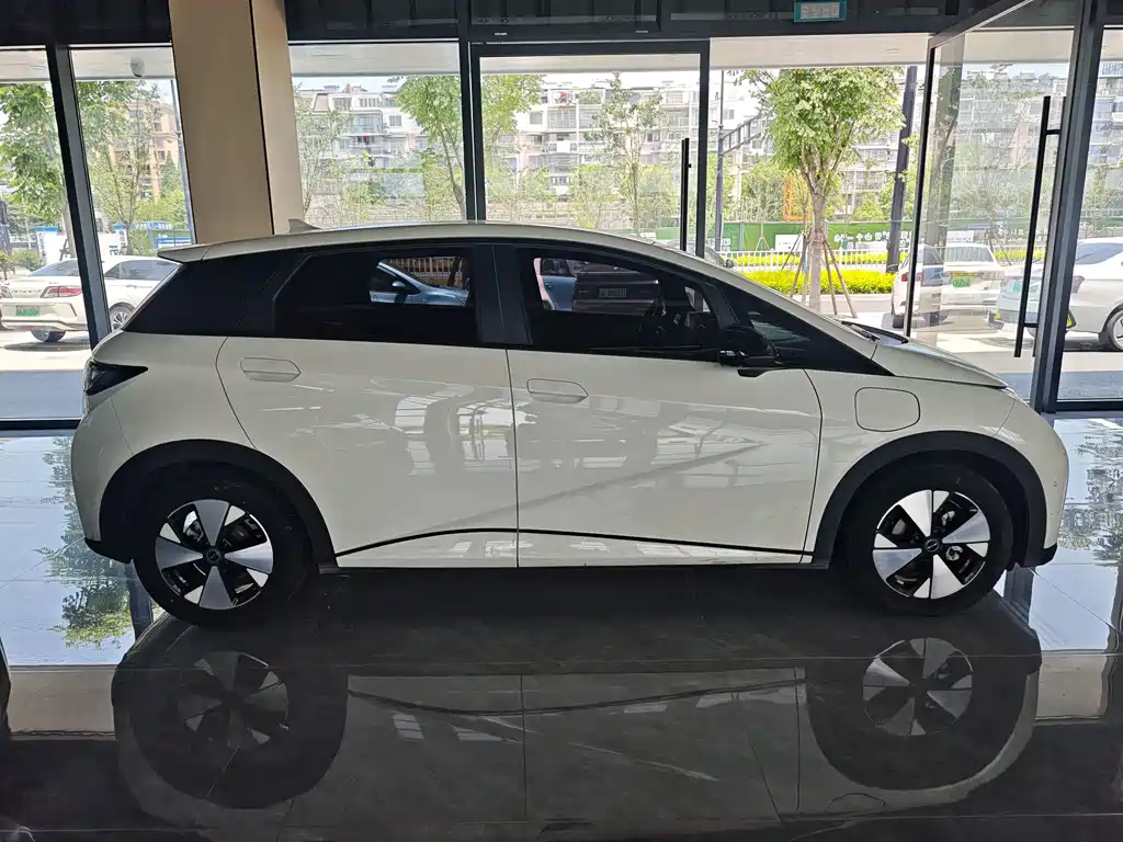 BYD Dolphin 2023 420km Fashion