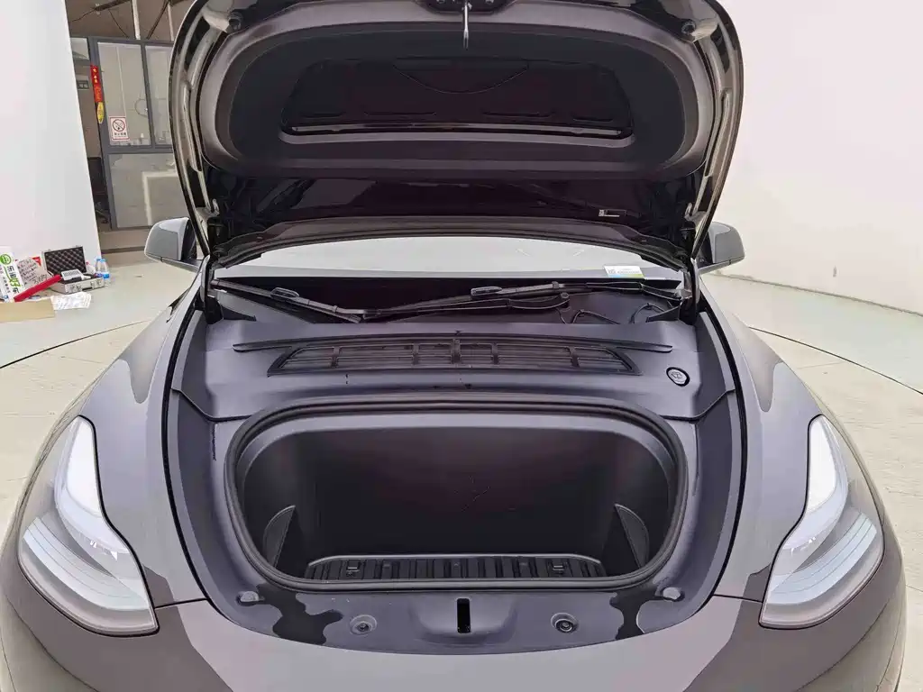 Tesla Model Y — миниатюра 8