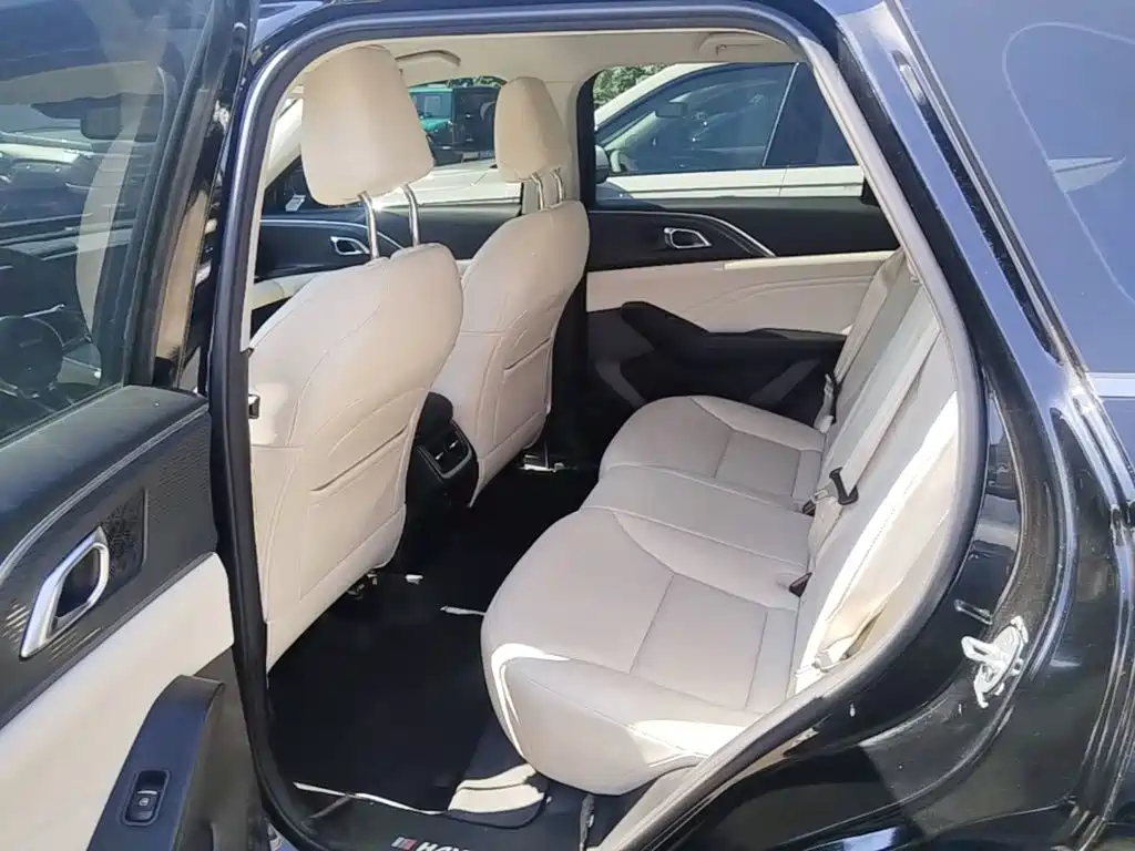 Haval Xiaolong MAX — миниатюра 22