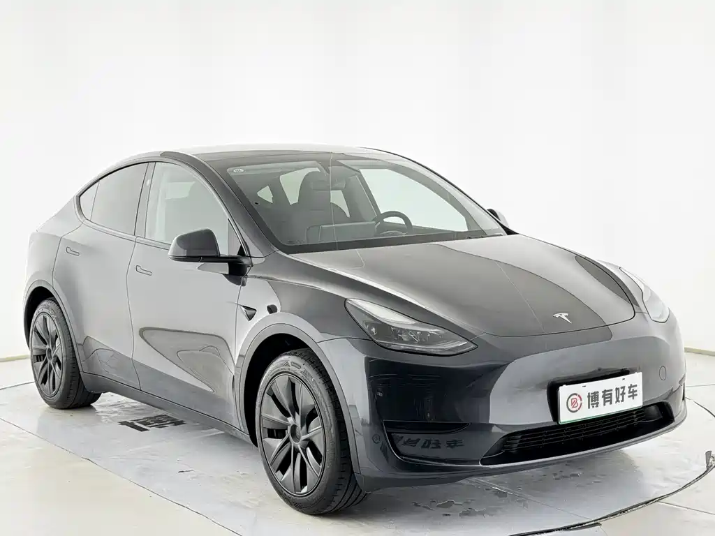 Tesla Model Y — миниатюра 3