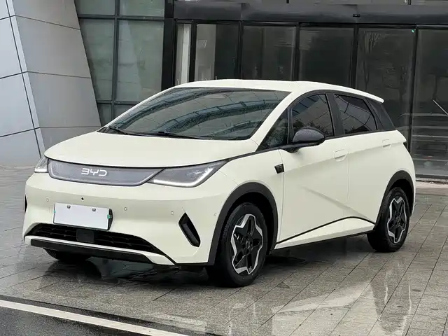 2025 BYD Dolphin
