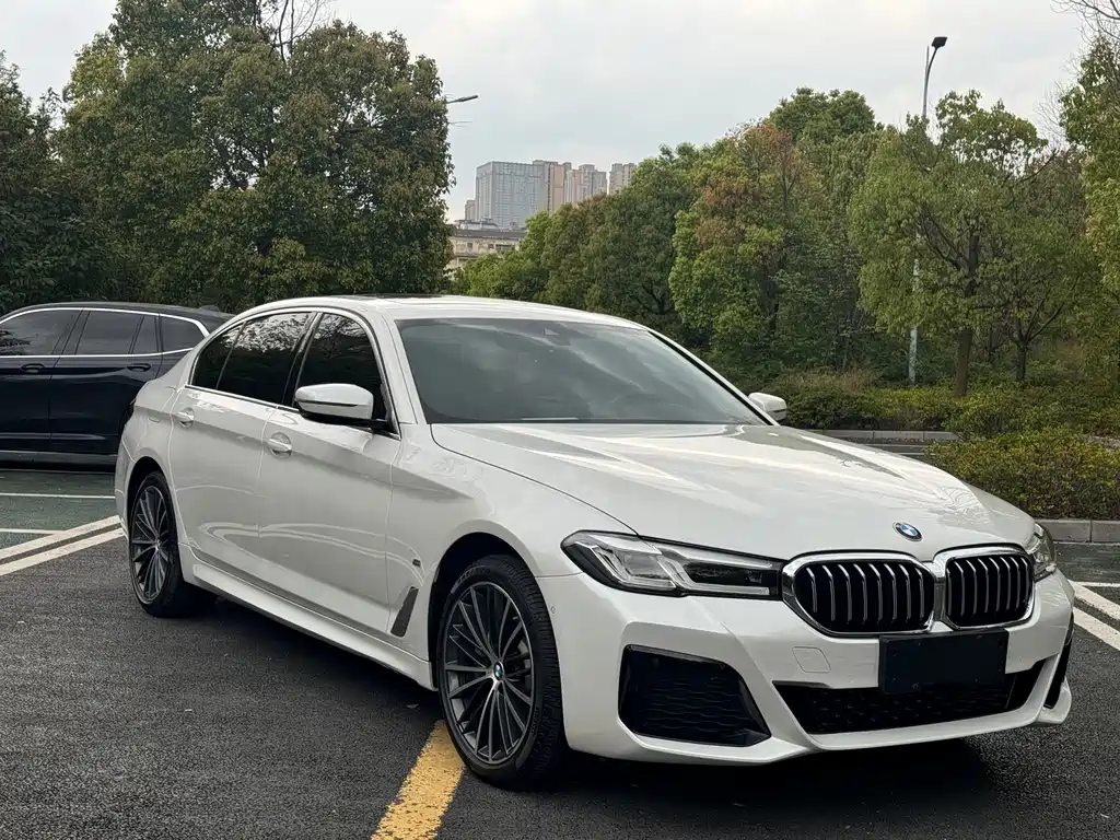 BMW 5 Series 5 2021 530Li Lead M Sport