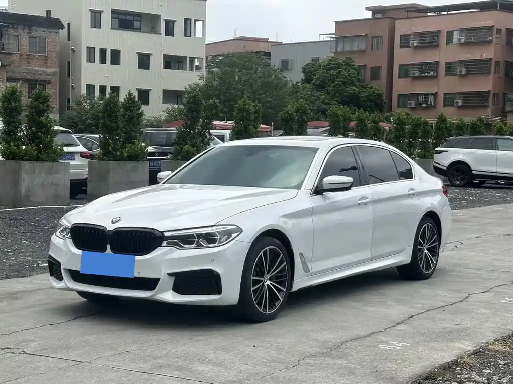 BMW 5 Series 5 2020 530Li Premium M Sport