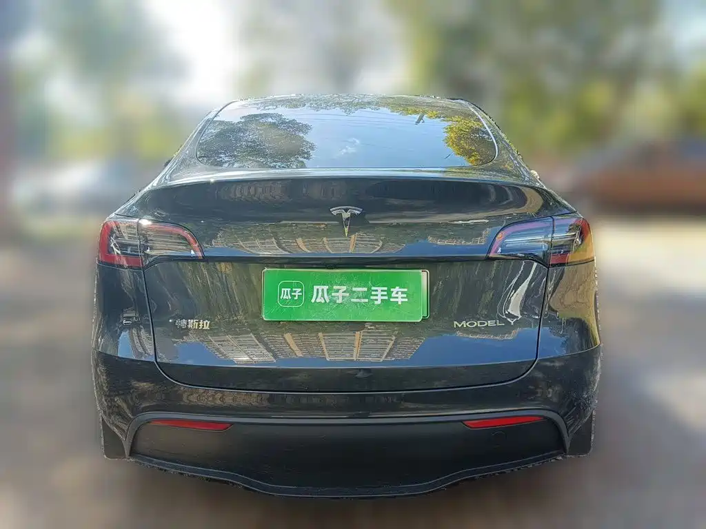 Tesla Model Y — миниатюра 5