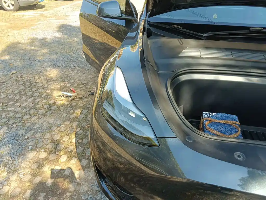 Tesla Model Y — миниатюра 7