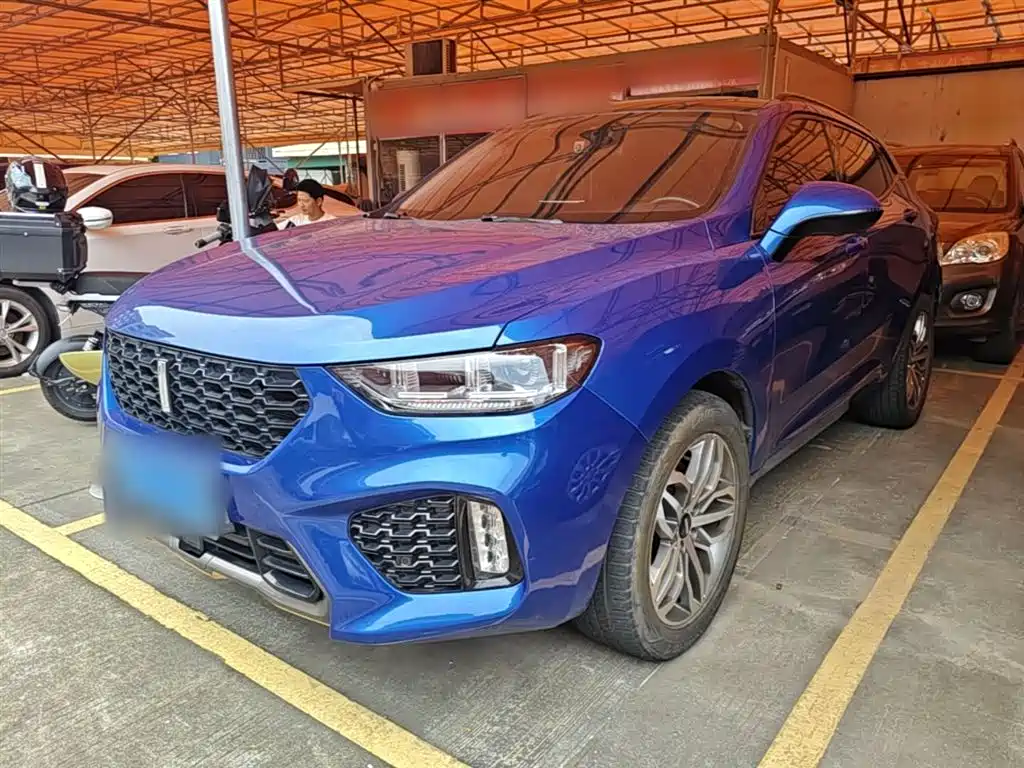 Купить Wey Wey VV5