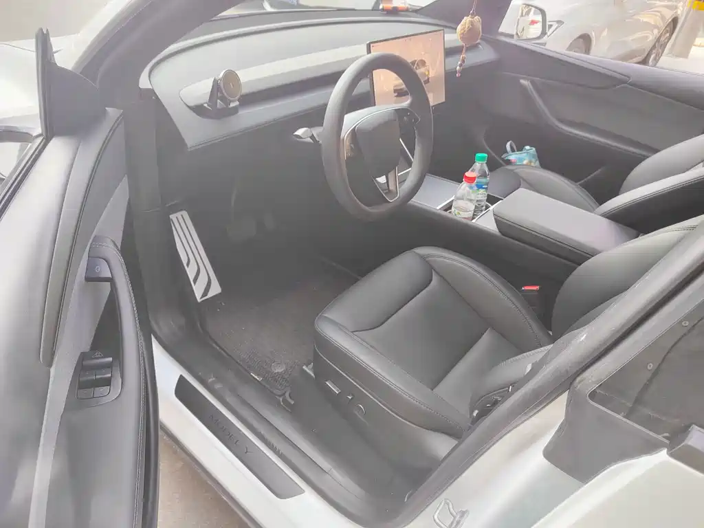 Tesla Model Y — миниатюра 4