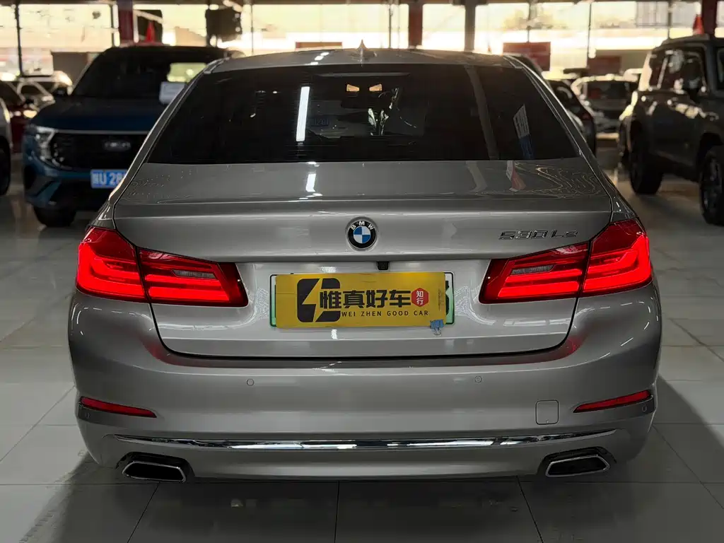 BMW 5 Series New Energy 530Le Luxury Package, фото 20