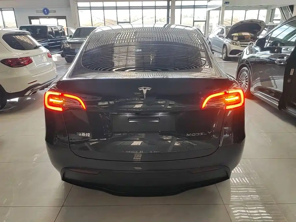 Tesla Model Y — миниатюра 6
