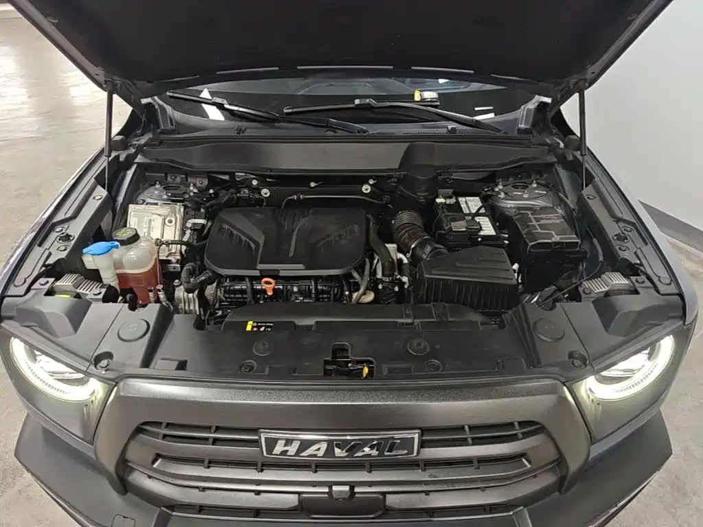 Haval Big Dog — миниатюра 20