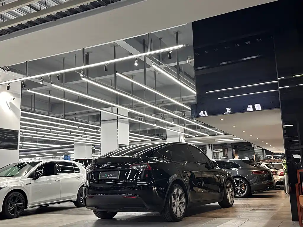 Tesla Model Y — миниатюра 17
