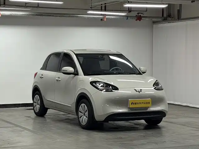Wuling Binguo 2024 203km