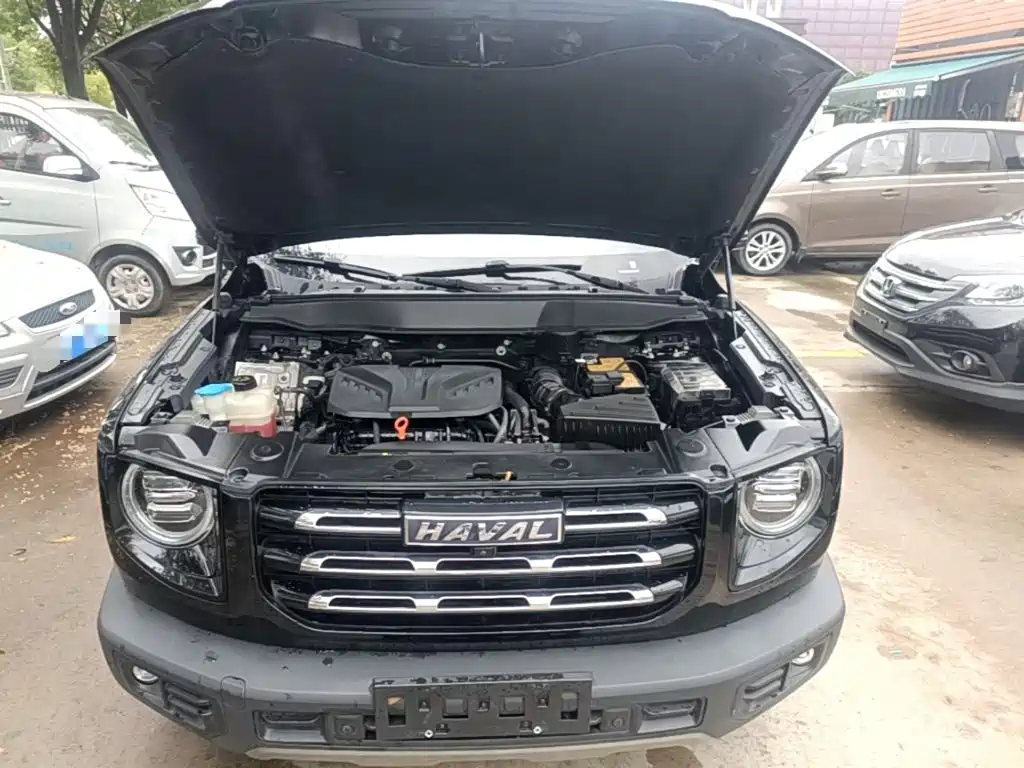 Haval Big Dog — миниатюра 20