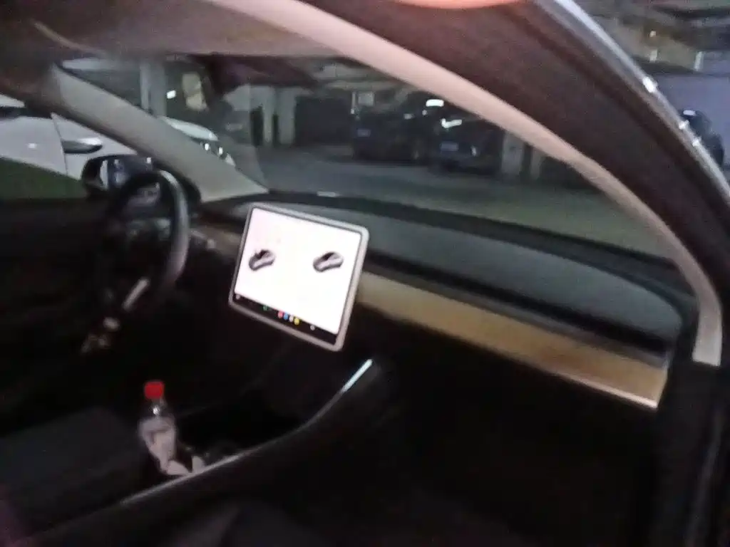 Tesla Model 3 — миниатюра 19
