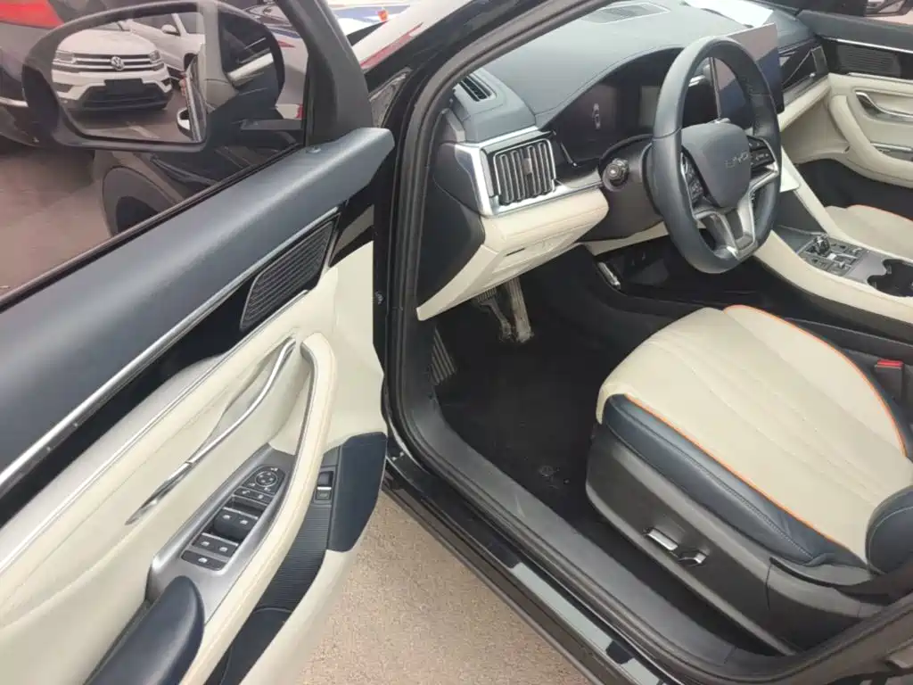 BYD PLUS New Energy — миниатюра 16