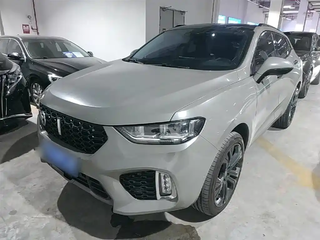 Купить Wey Wey VV5