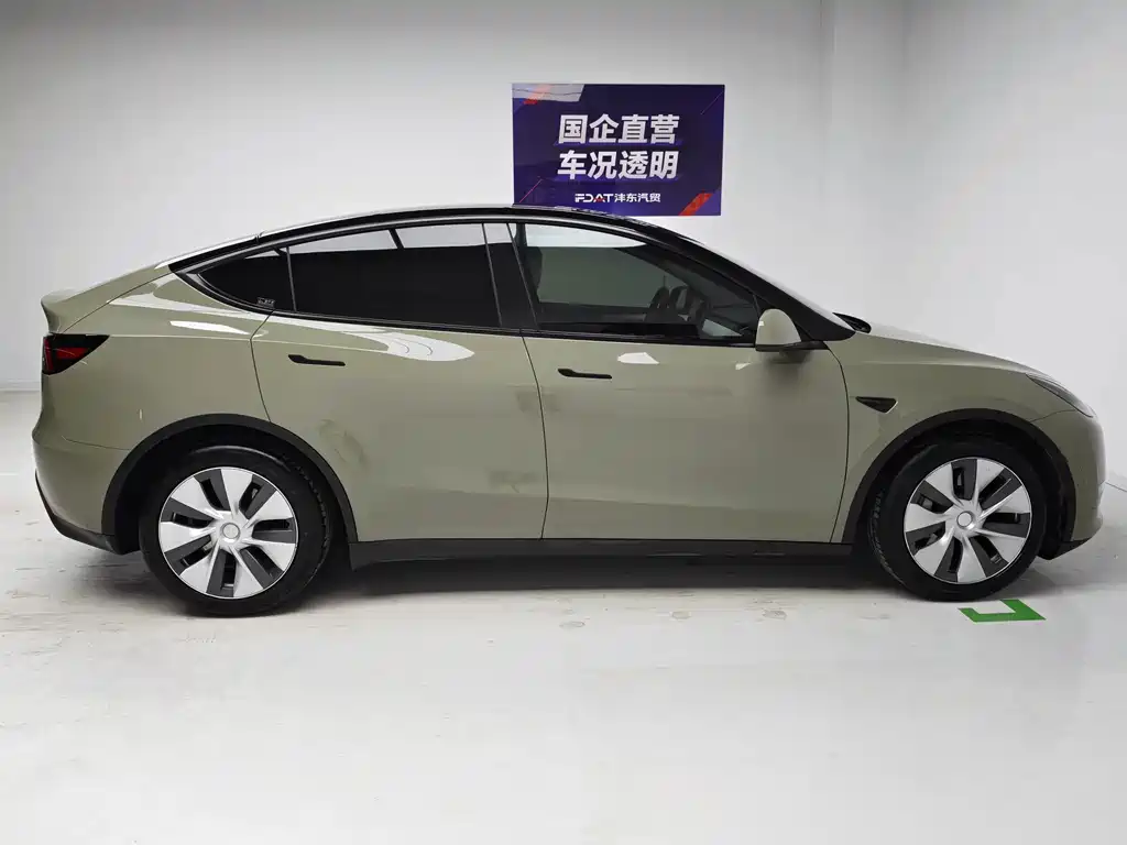 Tesla Model Y — миниатюра 7