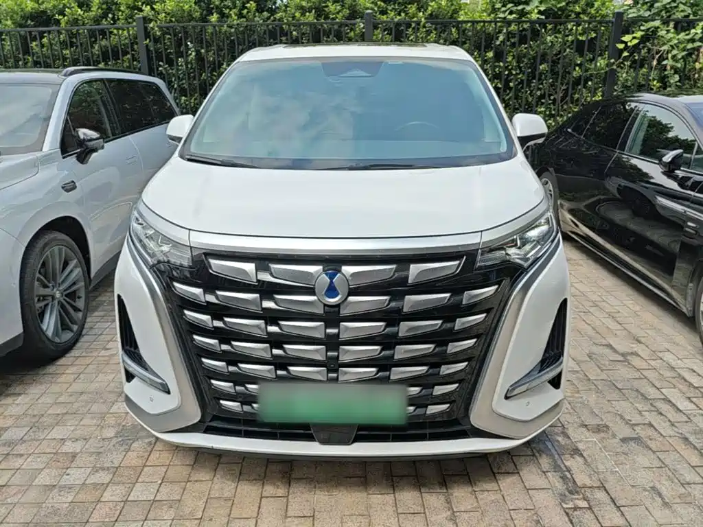 Denza Denza D9 — миниатюра 3