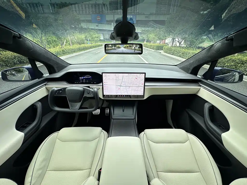 Tesla Model X — миниатюра 17