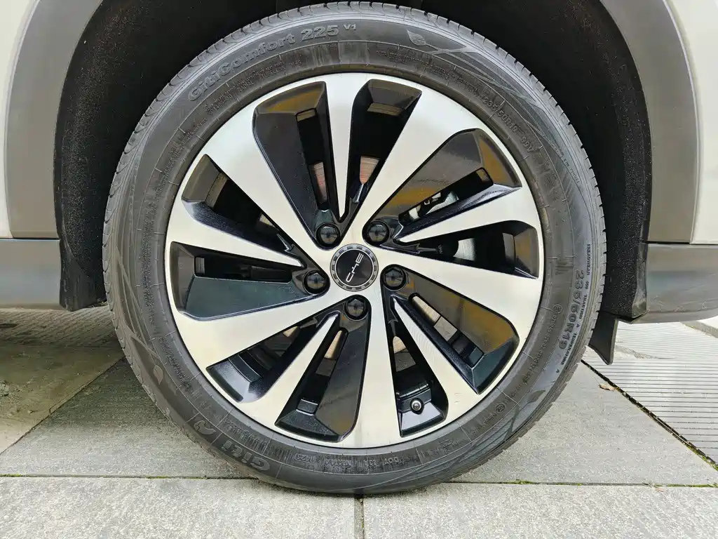 BYD SONGJIANG NEW ENERGY