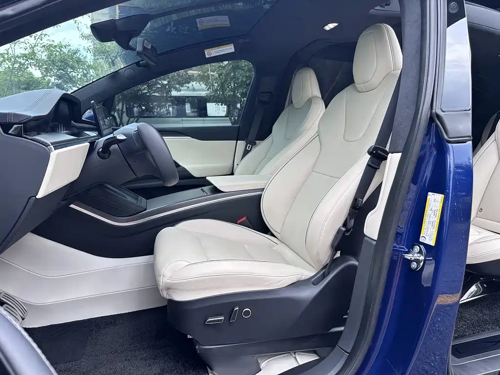 Tesla Model X — миниатюра 11